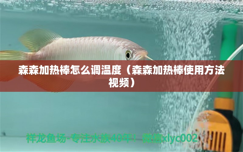 森森加熱棒怎么調(diào)溫度（森森加熱棒使用方法視頻）