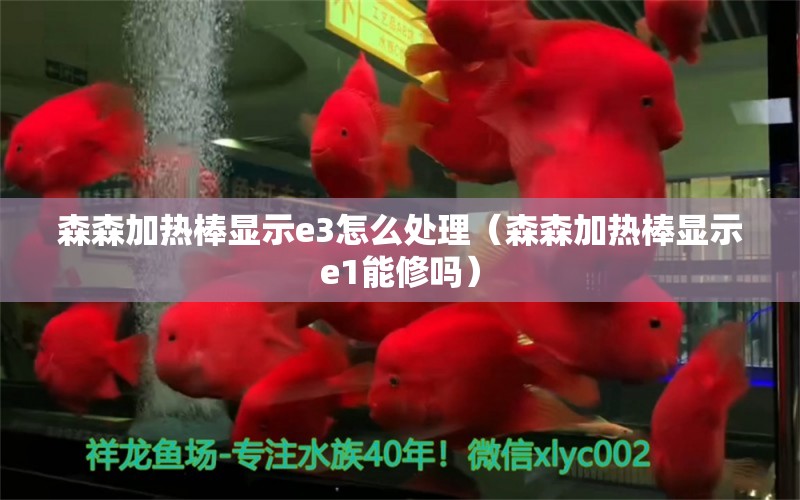 森森加熱棒顯示e3怎么處理（森森加熱棒顯示e1能修嗎）