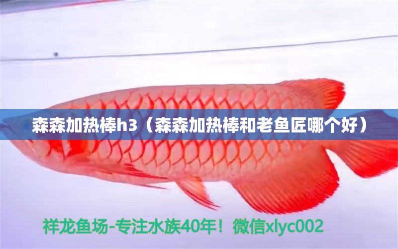 森森加熱棒h3（森森加熱棒和老魚匠哪個好）