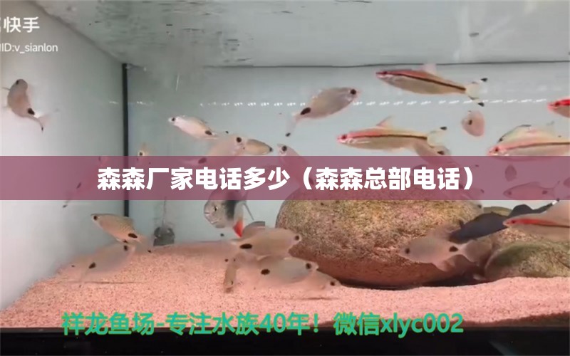 森森廠家電話多少（森森總部電話）