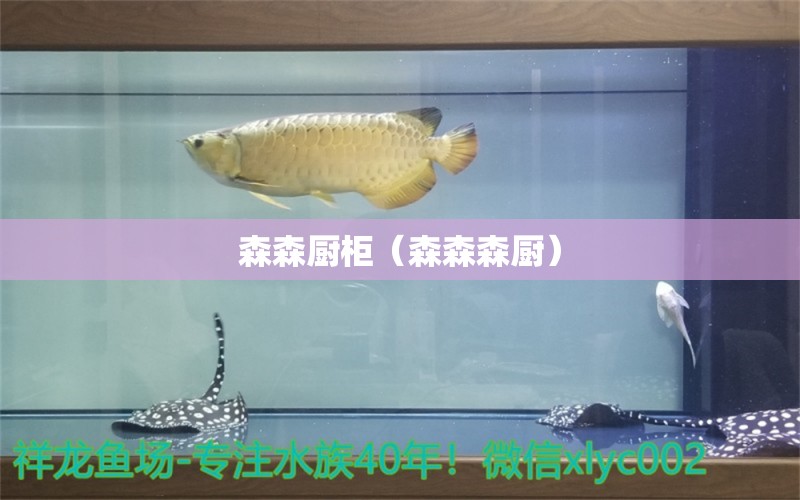 森森廚柜（森森森廚）