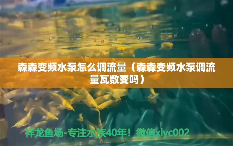 森森變頻水泵怎么調(diào)流量（森森變頻水泵調(diào)流量瓦數(shù)變嗎）