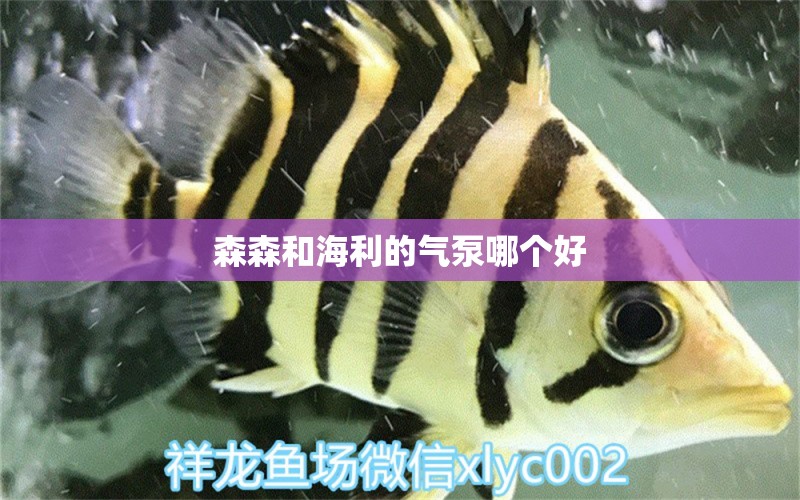 森森和海利的氣泵哪個好 森森魚缸 第2張