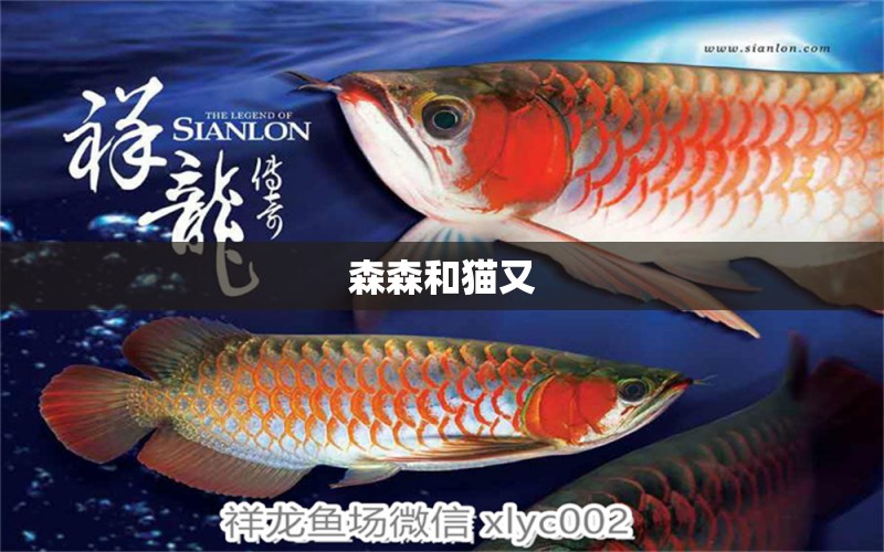 森森和貓又 森森魚缸 第2張