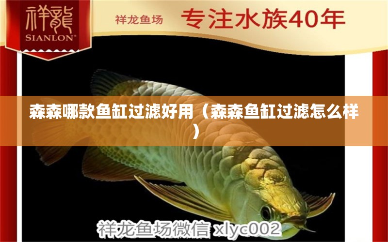 森森哪款魚缸過濾好用（森森魚缸過濾怎么樣）