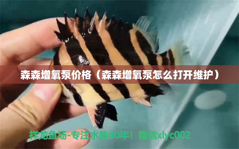 森森增氧泵價格（森森增氧泵怎么打開維護） 森森魚缸