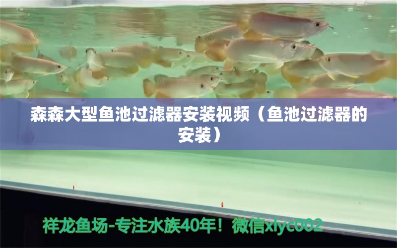 森森大型魚池過濾器安裝視頻（魚池過濾器的安裝）