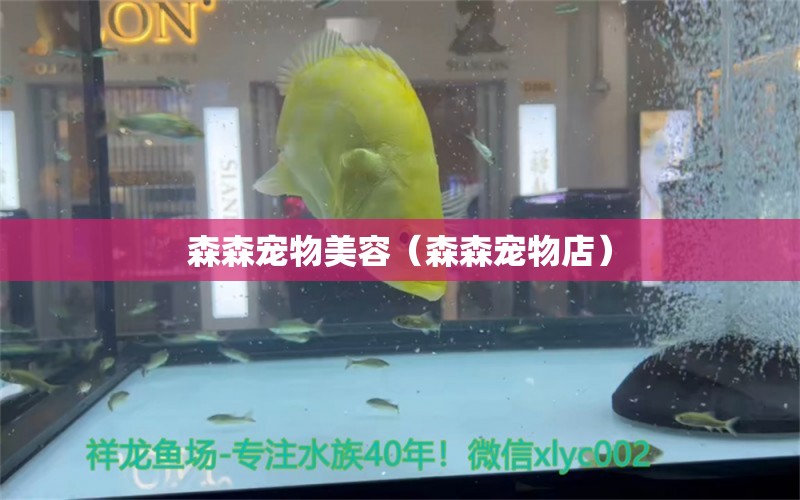 森森寵物美容（森森寵物店） 森森魚缸