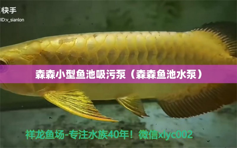 森森小型魚池吸污泵（森森魚池水泵）