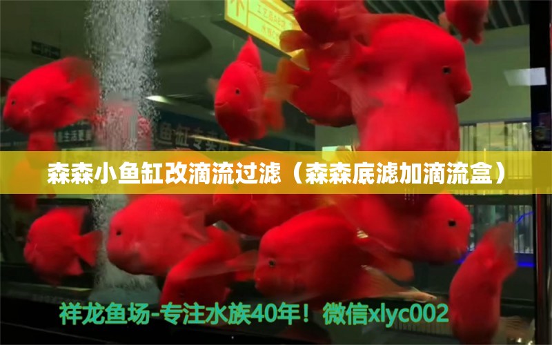 森森小魚缸改滴流過濾（森森底濾加滴流盒）