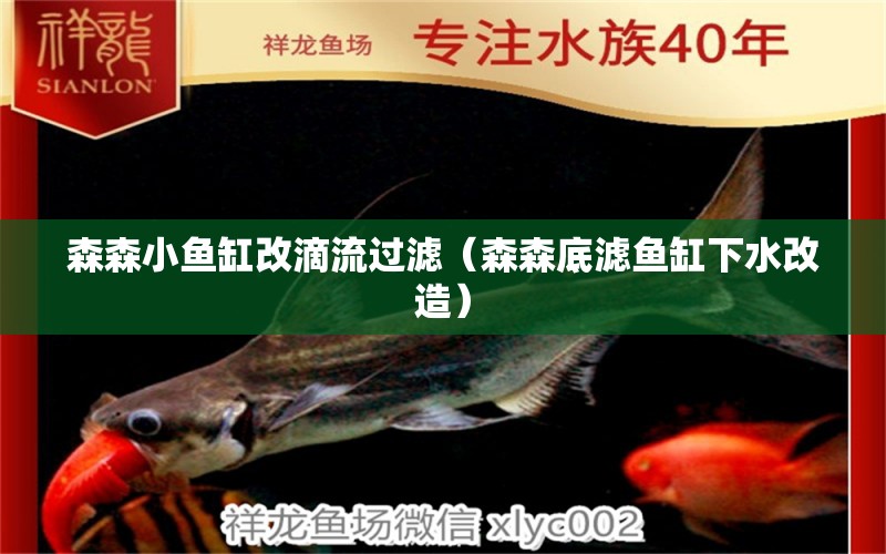 森森小魚缸改滴流過濾（森森底濾魚缸下水改造） 觀賞魚批發(fā)