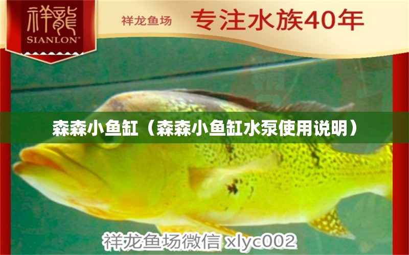 森森小魚缸（森森小魚缸水泵使用說明）