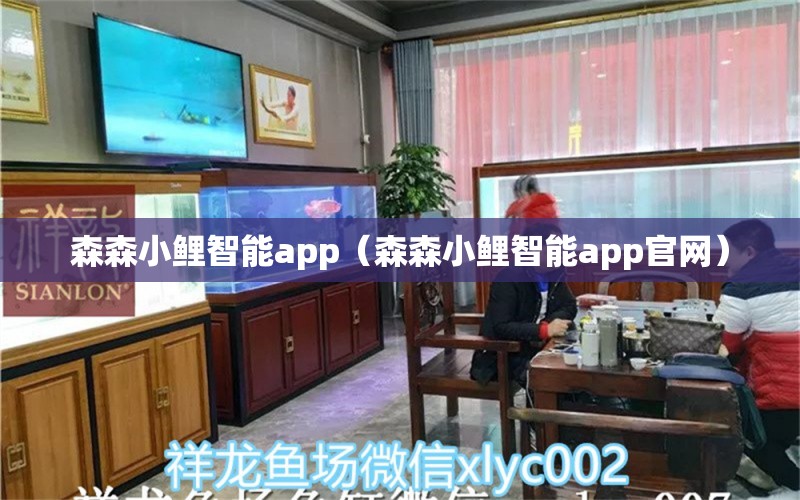 森森小鯉智能app（森森小鯉智能app官網(wǎng)）