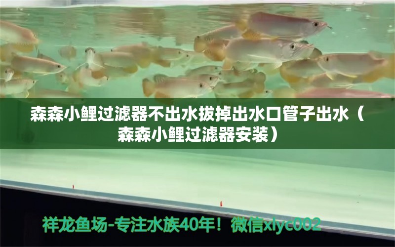 森森小鯉過濾器不出水拔掉出水口管子出水（森森小鯉過濾器安裝）