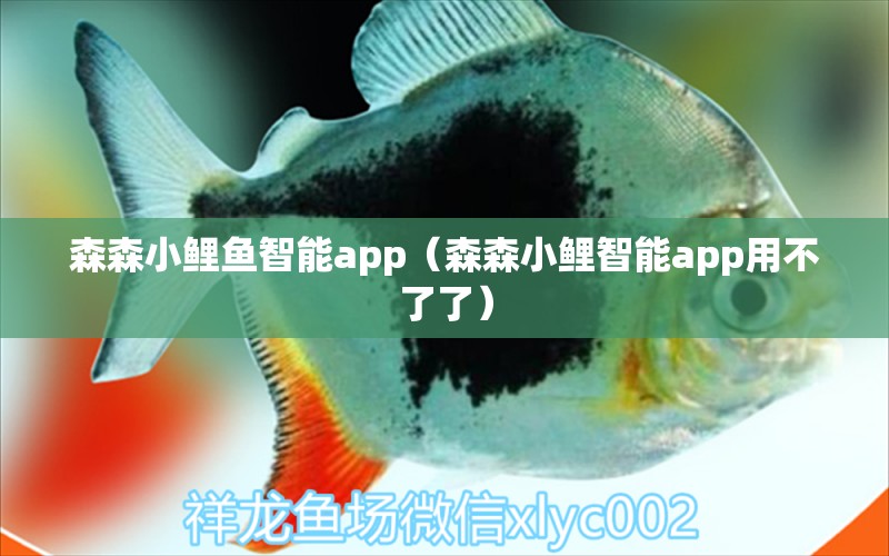 森森小鯉魚智能app（森森小鯉智能app用不了了） 森森魚缸