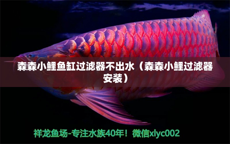 森森小鯉魚缸過濾器不出水（森森小鯉過濾器安裝）