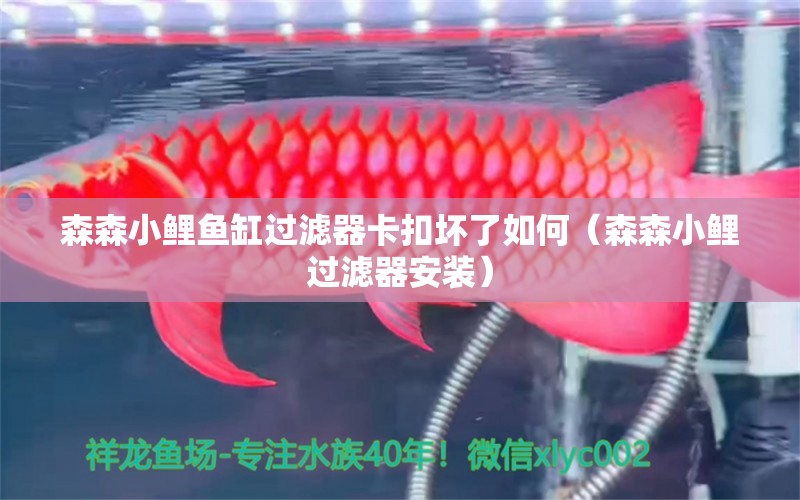 森森小鯉魚缸過濾器卡扣壞了如何（森森小鯉過濾器安裝） 森森魚缸