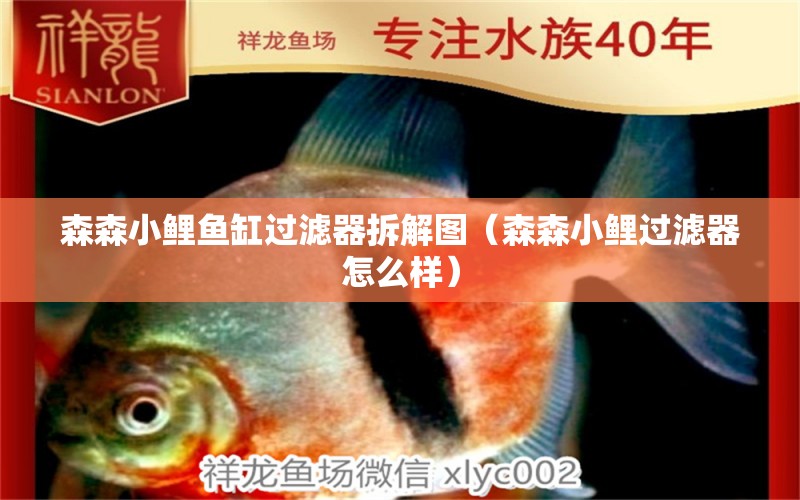 森森小鯉魚缸過濾器拆解圖（森森小鯉過濾器怎么樣）