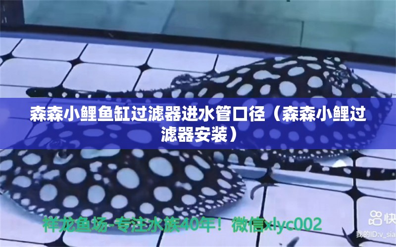 森森小鯉魚缸過濾器進(jìn)水管口徑（森森小鯉過濾器安裝）