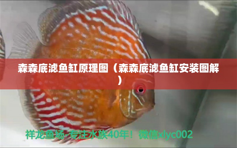 森森底濾魚缸原理圖（森森底濾魚缸安裝圖解）