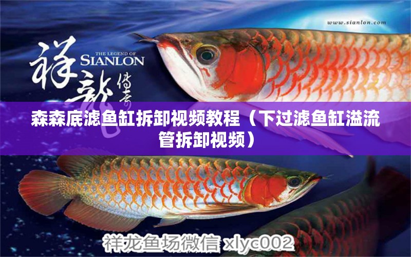 森森底濾魚缸拆卸視頻教程（下過濾魚缸溢流管拆卸視頻）