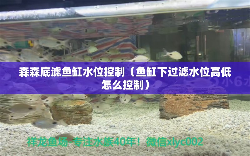 森森底濾魚缸水位控制（魚缸下過濾水位高低怎么控制）