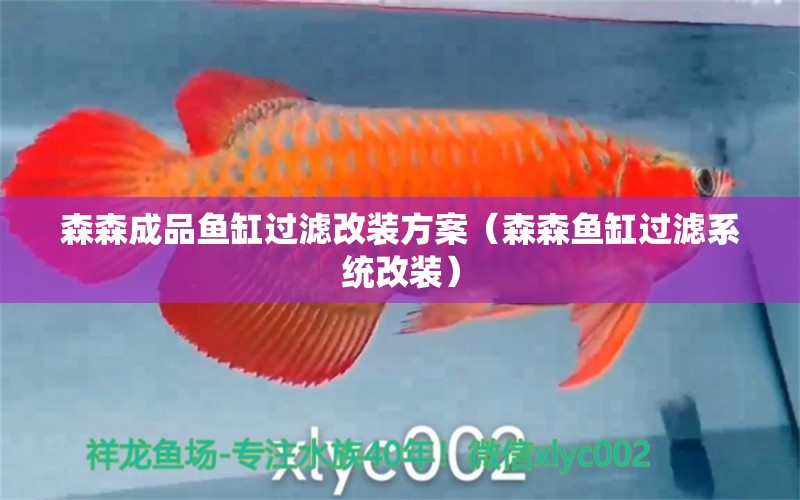 森森成品魚缸過濾改裝方案（森森魚缸過濾系統(tǒng)改裝） 廣州龍魚批發(fā)市場