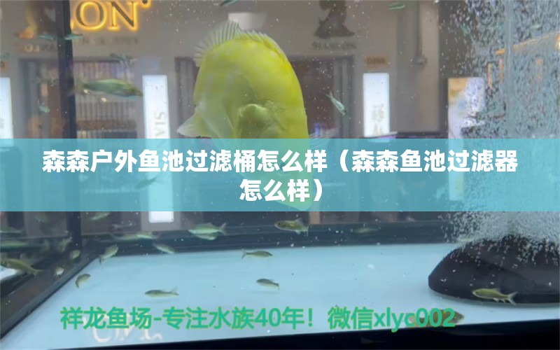 森森戶外魚池過濾桶怎么樣（森森魚池過濾器怎么樣）