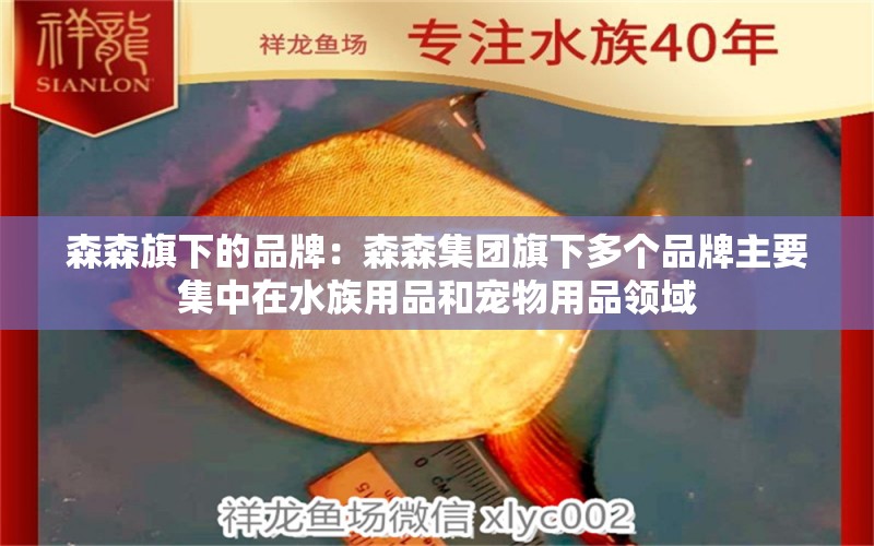 森森旗下的品牌：森森集團(tuán)旗下多個(gè)品牌主要集中在水族用品和寵物用品領(lǐng)域 森森魚缸 第2張