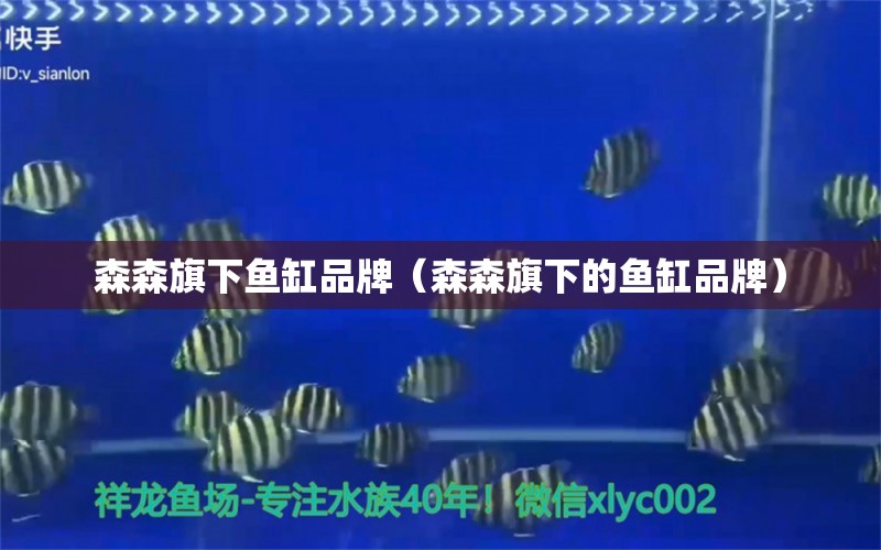 森森旗下魚缸品牌（森森旗下的魚缸品牌）