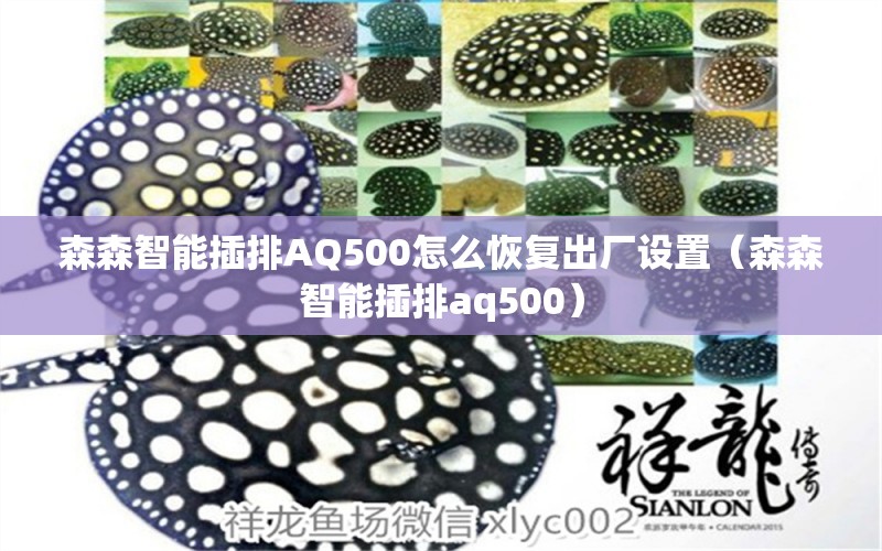 森森智能插排AQ500怎么恢復出廠設(shè)置（森森智能插排aq500）