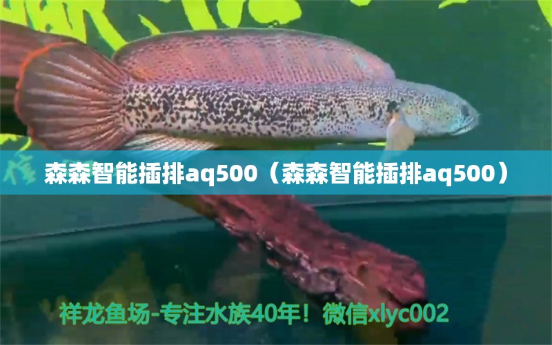 森森智能插排aq500（森森智能插排aq500） 森森魚缸