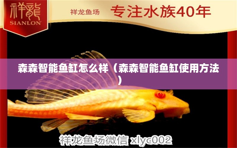 森森智能魚缸怎么樣（森森智能魚缸使用方法）