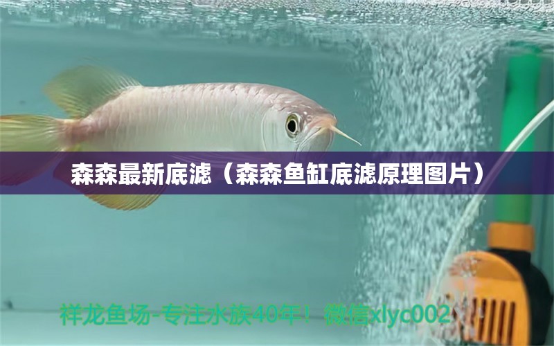 森森最新底濾（森森魚缸底濾原理圖片） 森森魚缸