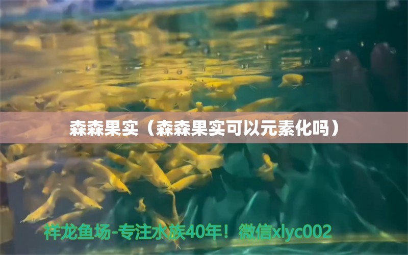 森森果實（森森果實可以元素化嗎） 森森魚缸