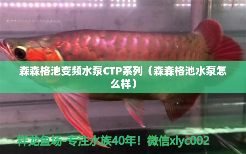 森森格池變頻水泵CTP系列（森森格池水泵怎么樣）