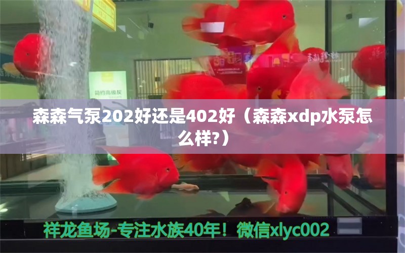 森森氣泵202好還是402好（森森xdp水泵怎么樣?）