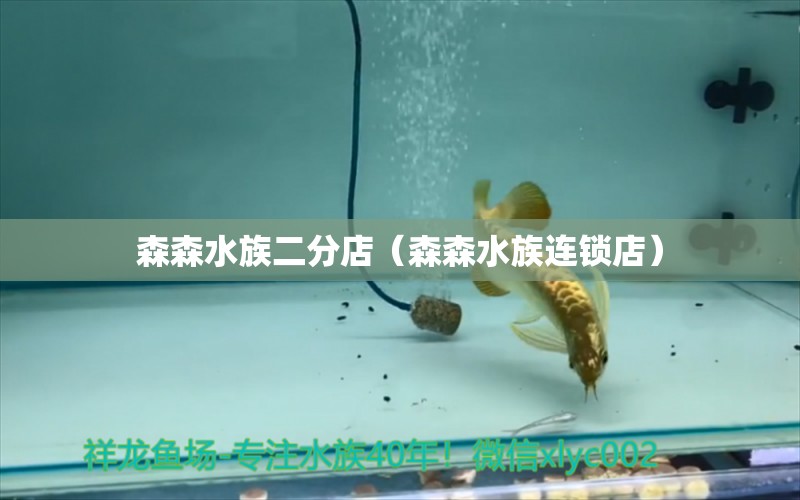 森森水族二分店（森森水族連鎖店） 全國水族館企業(yè)名錄