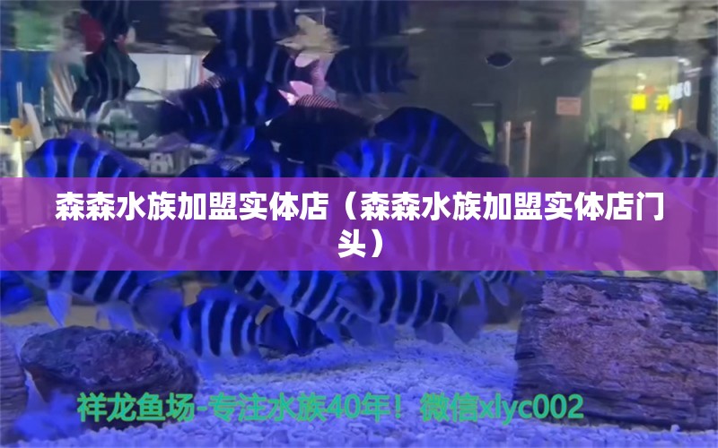 森森水族加盟實體店（森森水族加盟實體店門頭）