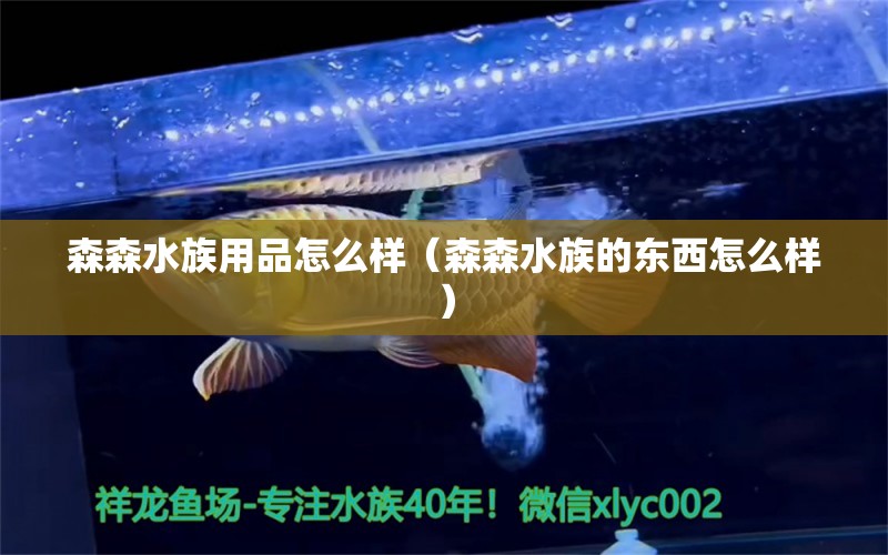 森森水族用品怎么樣（森森水族的東西怎么樣） 水族用品