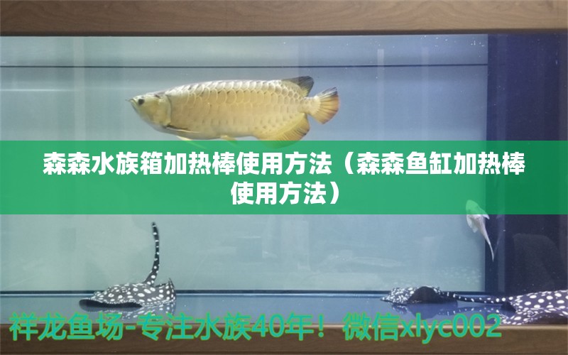 森森水族箱加熱棒使用方法（森森魚缸加熱棒使用方法）