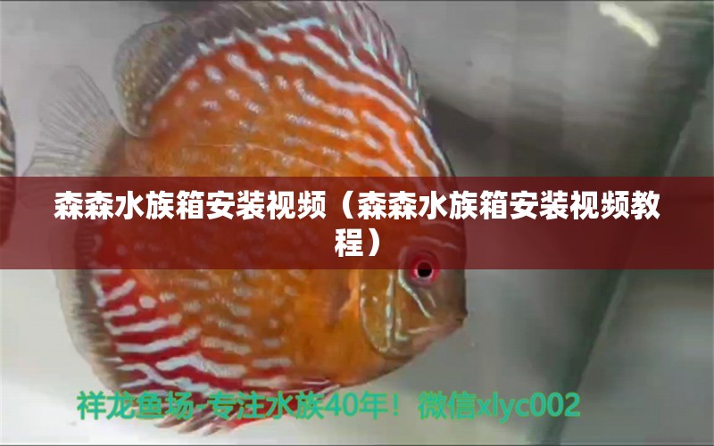 森森水族箱安裝視頻（森森水族箱安裝視頻教程）