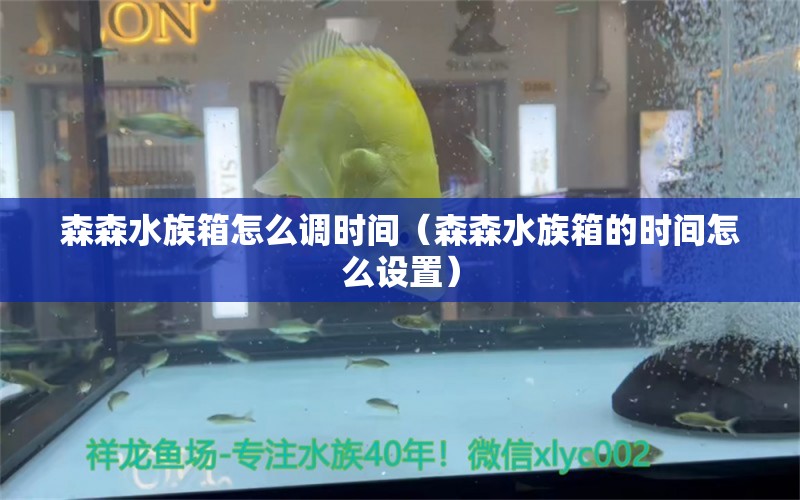 森森水族箱怎么調(diào)時間（森森水族箱的時間怎么設(shè)置）