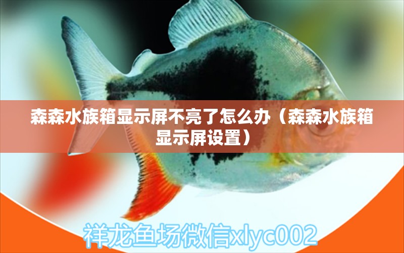 森森水族箱顯示屏不亮了怎么辦（森森水族箱顯示屏設(shè)置）