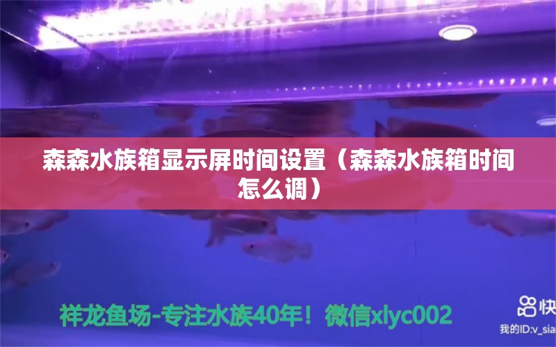 森森水族箱顯示屏時間設(shè)置（森森水族箱時間怎么調(diào)）