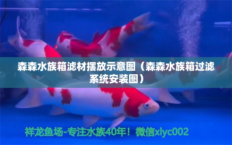 森森水族箱濾材擺放示意圖（森森水族箱過濾系統(tǒng)安裝圖）