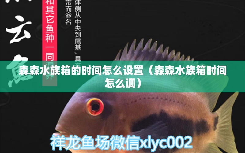 森森水族箱的時間怎么設(shè)置（森森水族箱時間怎么調(diào)）