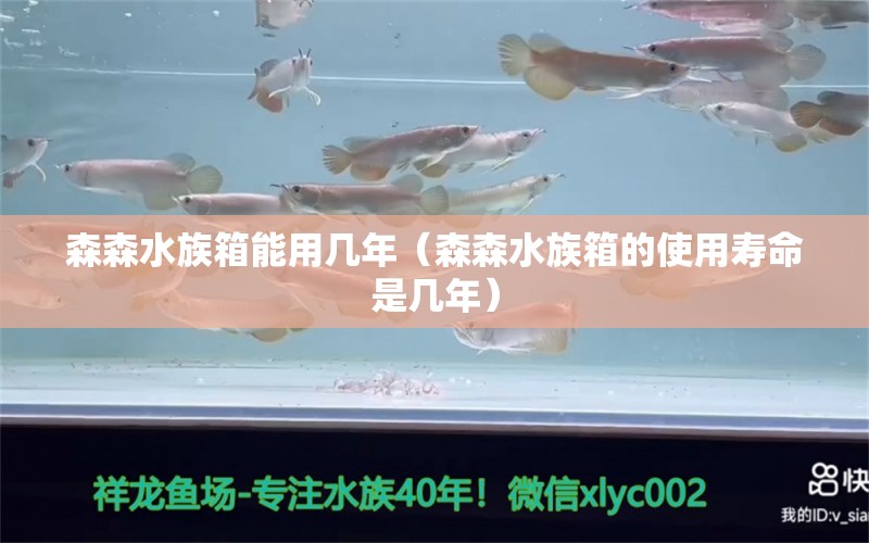 森森水族箱能用幾年（森森水族箱的使用壽命是幾年）