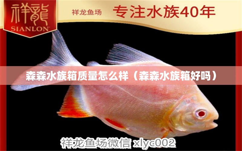 森森水族箱質(zhì)量怎么樣（森森水族箱好嗎）