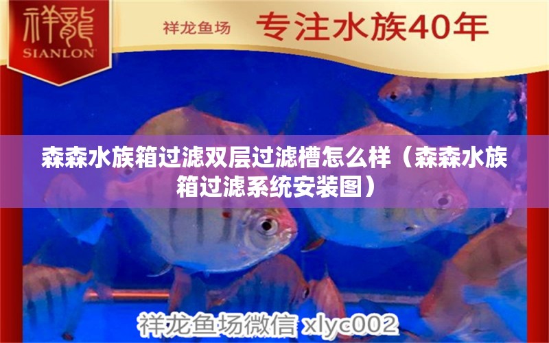 森森水族箱過濾雙層過濾槽怎么樣（森森水族箱過濾系統(tǒng)安裝圖）